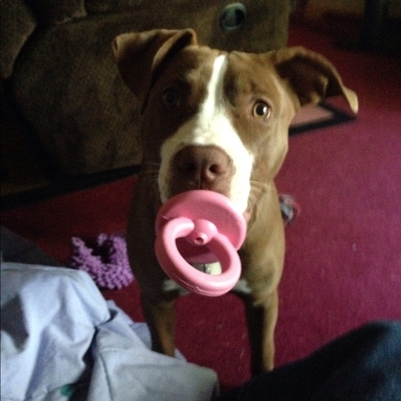 MY FAMILY - Picture 16 of 17